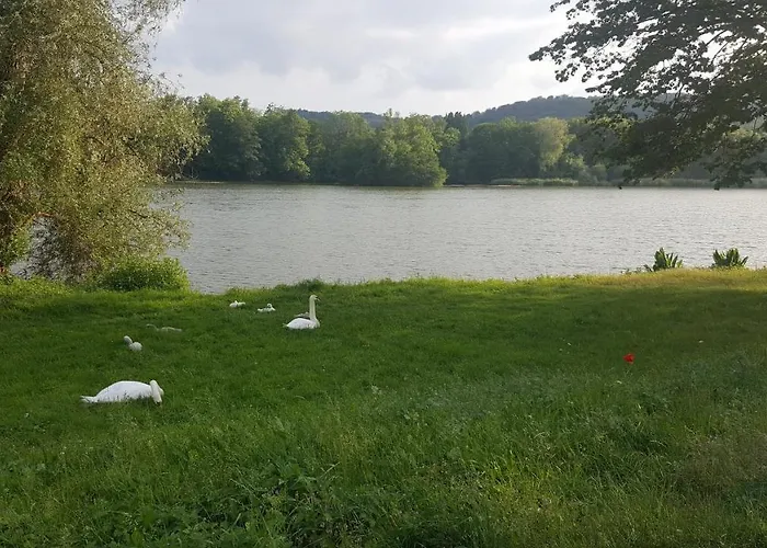 Am Teich Alojamento de Turismo Selvagem Rottleberode